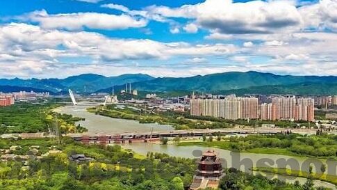 森林舞会单机在哪下载-森林舞会单机版，探索自然与音乐的奇妙融合